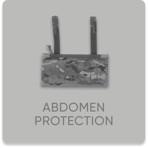 modul zakhystu kyshkivnyka