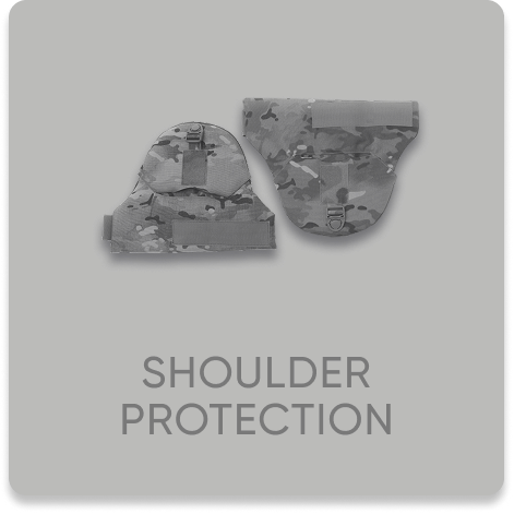 modul zakhystu plechi