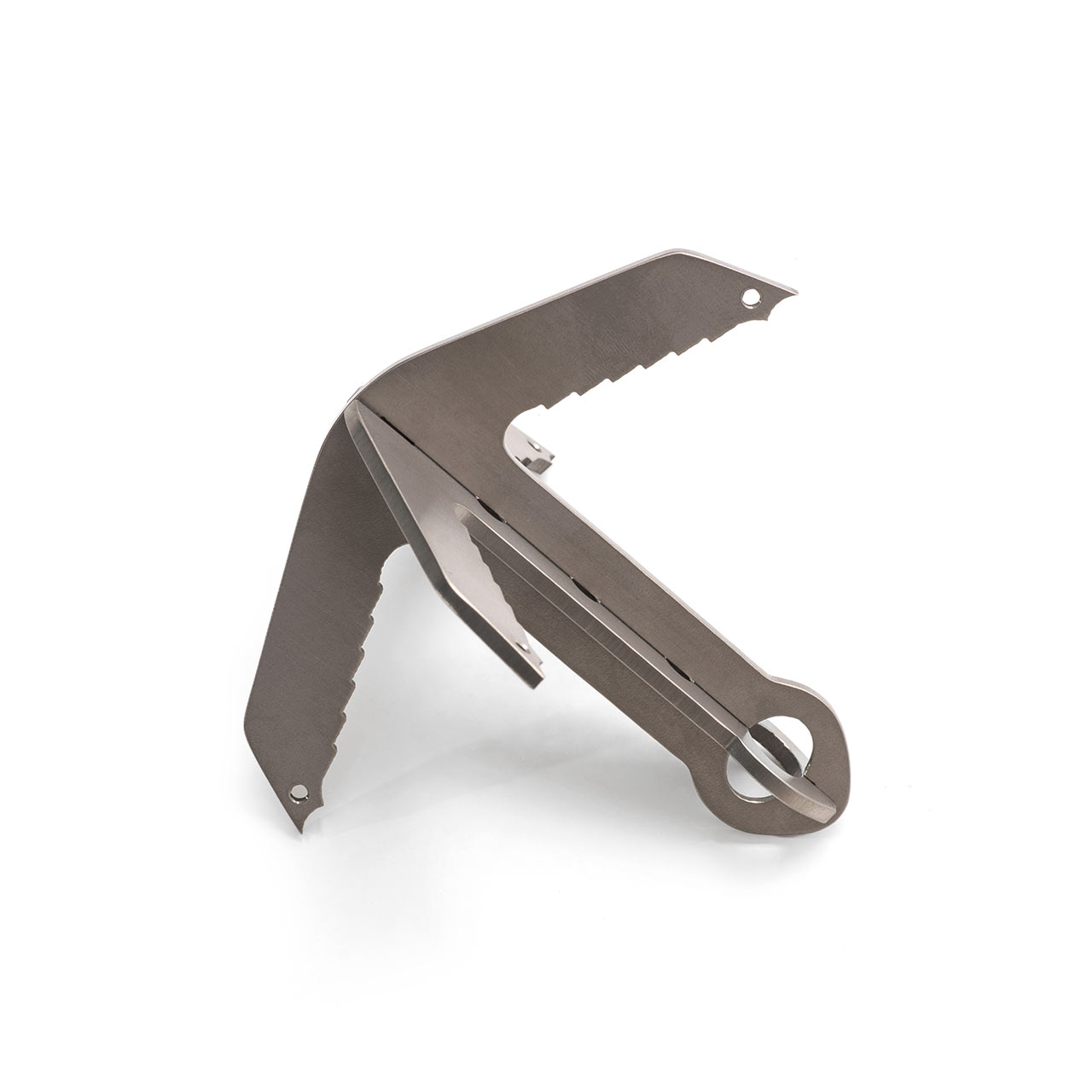 Титанова кішка