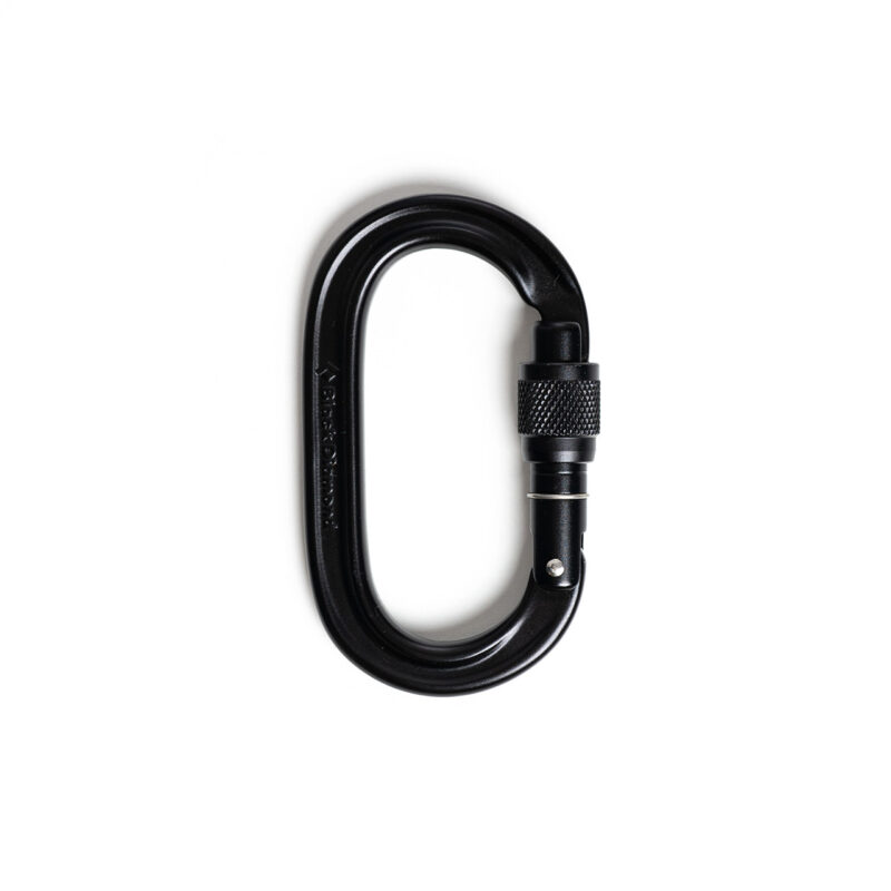 Карабін Black Diamond Oval Keylock SG