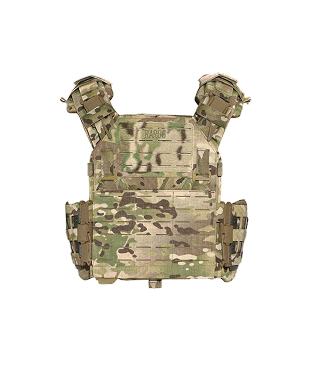Plate carrier